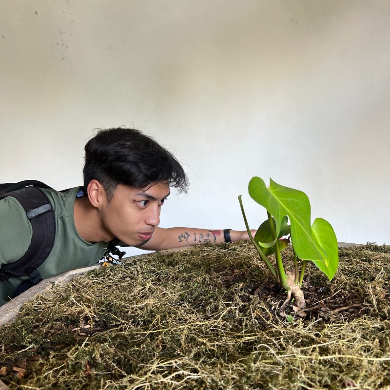 PS PP Champion JD Pablo